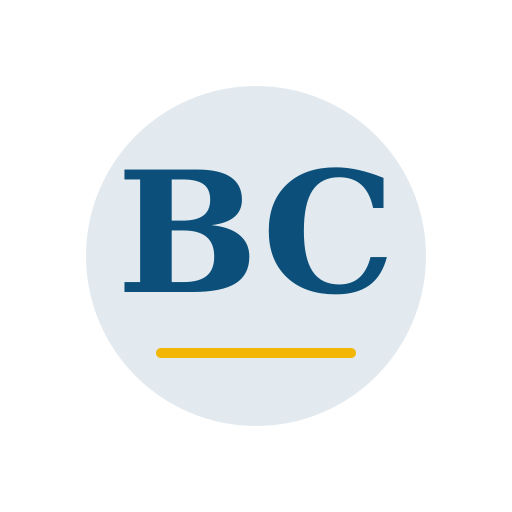 Burns Chimney Repair logo